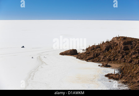 Persone a Isla del pescado (pesce Isola) sul Salar de Uyuni (Saline di Uyuni), dipartimento di Potosi, Bolivia Foto Stock