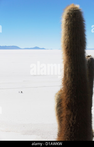 Vista della gente che camminava sul Salar de Uyuni (Saline di Uyuni) da Isla del pescado (pesce isola), dipartimento di Potosi, Bolivia Foto Stock