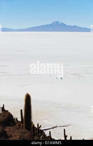 Vista della gente che camminava sul Salar de Uyuni (Saline di Uyuni) da Isla del pescado (pesce isola), dipartimento di Potosi, Bolivia Foto Stock