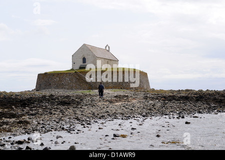 Walkers attraversando la strada rialzata a St Cwyfan la Chiesa Aberffraw Anglesey Mon Wales Cymru REGNO UNITO GB Foto Stock