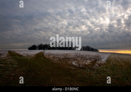 Paesaggio invernale su Gog Magog colline a sud della città universitaria di Cambridge, Inghilterra, Regno Unito. 12-2012 Foto Stock