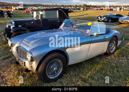 Old Austin Healey sport auto parcheggiate a Goodwood Foto Stock