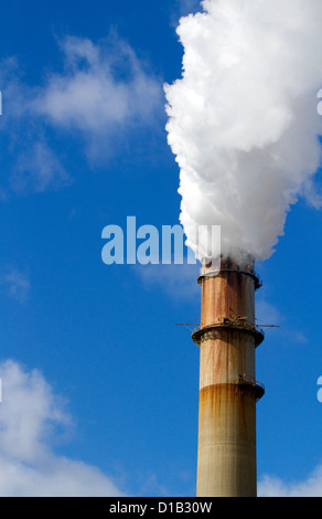 Il fumo e l'emissione di vapore a TECO Tampa Electric Big Bend Power Station situato in Apollo Beach, Florida, Stati Uniti d'America. Foto Stock