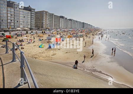 Lucertole da mare in estate sole dietro i paraventi e frangivento sulla spiaggia lungo la costa del Mare del Nord in Belgio località balneare, Belgio Foto Stock