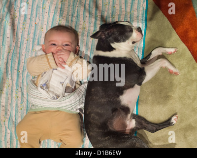 Baby posa accanto al cane Foto Stock