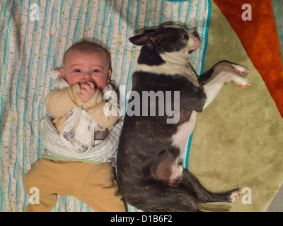 Baby posa accanto al cane Foto Stock