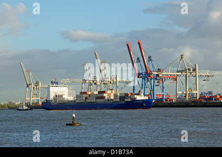 Il terminale Buchardkai, porto di Amburgo, Germania Foto Stock