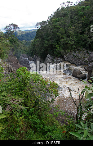 Fiume Namorona, Ranomafana National Park, Madagascar, Africa. Foto Stock