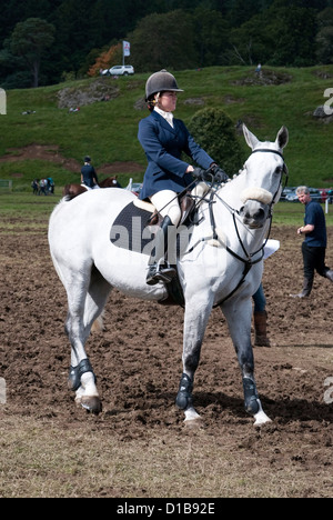 In attesa di essere chiamato nell'Arena Showjumping Foto Stock