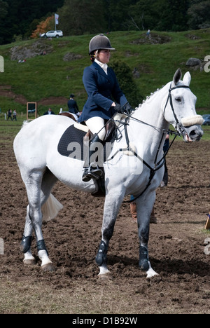 In attesa di essere chiamato nell'Arena Showjumping Foto Stock