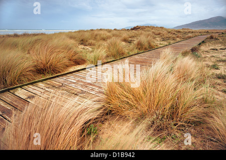 Percorso sulla spiaggia. Tarifa, Costa de la Luz, Cadice, Andalusia, Spagna. Foto Stock