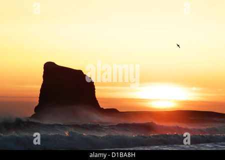 Il sorgere del sole dietro il nero al NAB Saltwick Bay in North York Moors National Park Foto Stock