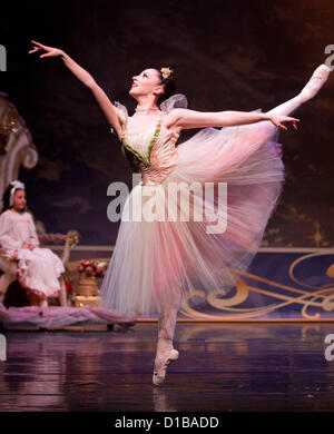 Dic. 11, 2012 - Modesto, CA, Stati Uniti d'America - una ballerina va sul punto durante una recente prova dello schiaccianoci. Central West balletto in Modesto CA si prepara per i suoi prossimi run di balletto Schiaccianoci Al Gallo Centro per le arti. (Credito Immagine: © Marty Bicek/ZUMAPRESS.com) Foto Stock