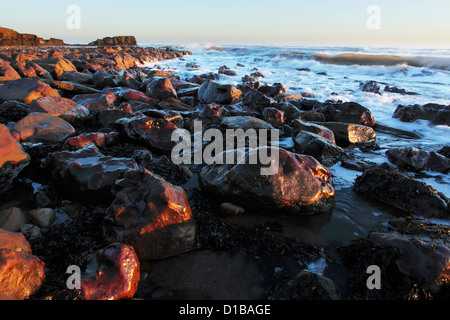 Saltwick Bay allo spuntar del giorno, guardando verso Saltwick Nab in North York Moors National Park Foto Stock