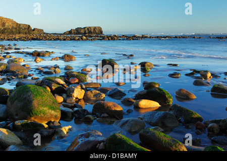 Saltwick Bay guardando verso Saltwick Nab in North York Moors National Park Foto Stock