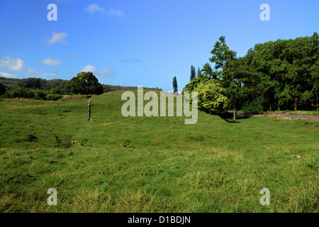 Il campo aperto di verde pascolo con Deep Blue Skies in background. Da qualche parte sulla strada di Hana sull'isola hawaiana di Maui Foto Stock