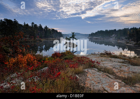 Una piccola isola nella baia di McGregor, coregoni prima nazione, Ontario, Canada Foto Stock