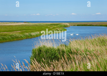 Da Helnaes, Danimarca, il paesaggio costiero della penisola Helnaes Foto Stock