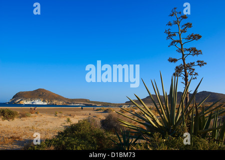 Los Genoveses beach, Genoveses Cove, Ensenada de los Genoveses, Cabo de Gata-Nijar Parco naturale e riserva della biosfera, Almeria Foto Stock