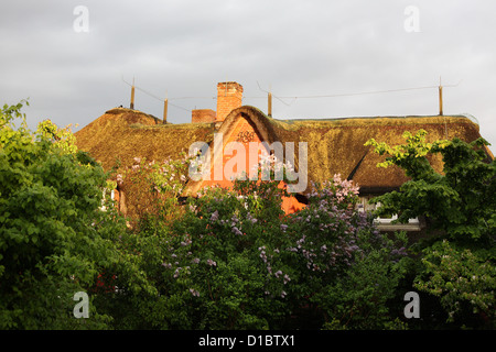 Amrum, nebbia, Germania, gable fregio di una casa di paglia Foto Stock