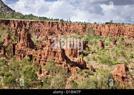 Erosione del suolo nel territorio del Konso, Rift Valley. Sorgo (miglio) Manioca (Radici di manioca), di girasole e di soia sono i punti metallici Foto Stock