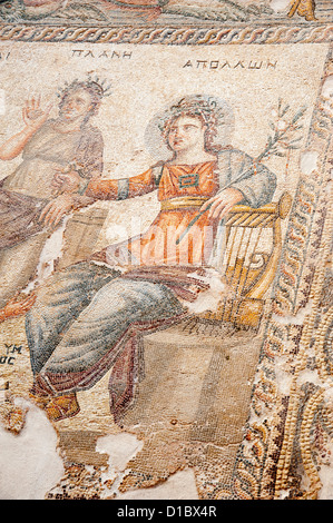 Sezione di Paphos Mosiacs nella Reception Hall della casa di Aion. Pafos Cipro Foto Stock