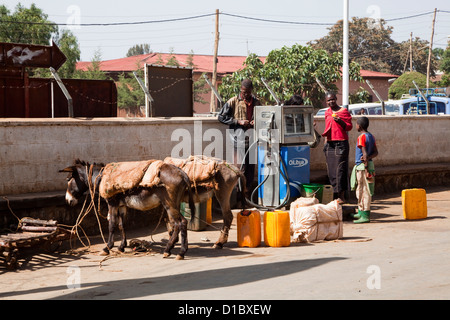 Strada principale in Sodo con Oilybia sulla stazione di benzina. Asini portare taniche piene di kerosene. Africa, Etiopia Foto Stock