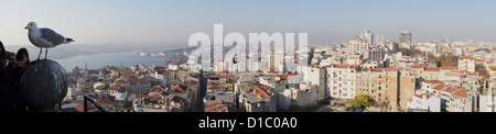 Panorama di Istanbul e il Bosforo dalla Torre di Galata, Turchia Foto Stock