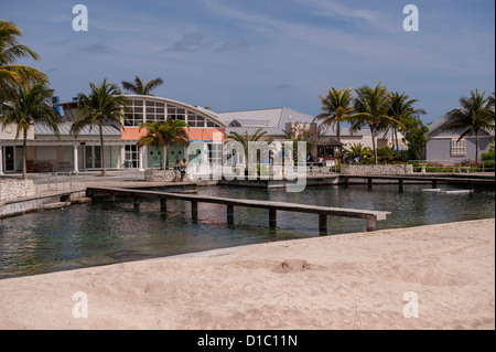 British West Indies, Isole Cayman, Grand Cayman Cayman Turtle Farm Foto Stock