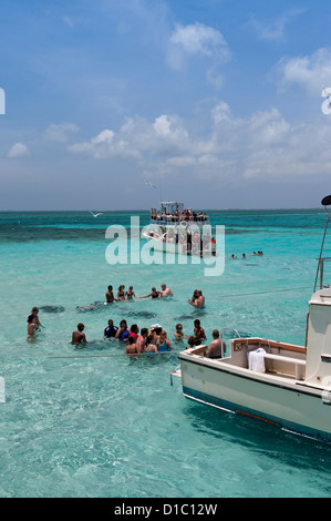 British West Indies, Isole Cayman, Grand Cayman Stingray City Foto Stock