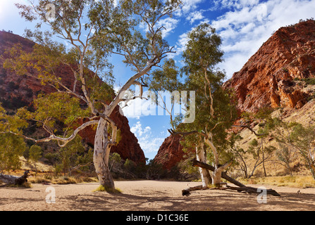 Simpson Gap outback australiano Australia centrale del territorio nord MacDonnell Ranges Foto Stock