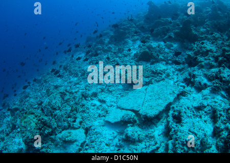 Una completamente distrutta corallina dovuta alla bomba o dynamite pesca, Isole delle Spezie, Maluku Regione, Halmahera, Indonesia, Oceano Pacifico Foto Stock