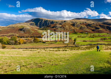 Vista su Dale basso verso alto Rigg nel Parco Nazionale del Distretto dei Laghi. Foto Stock