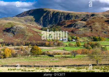 Vista su Dale basso verso alto Rigg nel Parco Nazionale del Distretto dei Laghi. Foto Stock