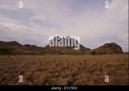 Una vista di PAdar isola, una splendida isola nel Parco Nazionale di Komodo dove non vive la gente. Tra isola di Komodo e Rinca Foto Stock