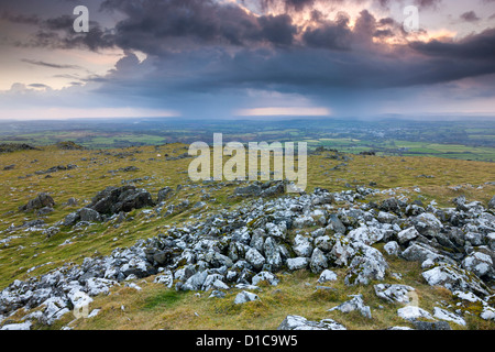 Vista da Cox Tor nel Parco Nazionale di Dartmoor. Foto Stock