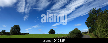 Summer Blue Skies panorama su Cotherstone Moor, Superiore Teesdale, Contea di Durham, Inghilterra, Regno Unito Foto Stock