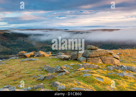 Vista da pecore Tor nel Parco Nazionale di Dartmoor. Foto Stock