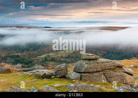 Vista da pecore Tor nel Parco Nazionale di Dartmoor. Foto Stock