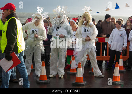 Lyme Regis, Dorset, Regno Unito. Il 15 dicembre 2012. Un team di artisti locali vestito come linea di gelo fino a monte della prima relazione annuale di Lyme Regis pudding natalizio gara di Lyme Regis, Dorset sabato 15 dicembre 2012. Gara è stato organizzato per raccogliere fondi per la ricerca sul cancro Foto Stock