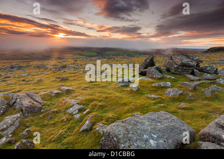 Vista da pecore Tor nel Parco Nazionale di Dartmoor. Foto Stock