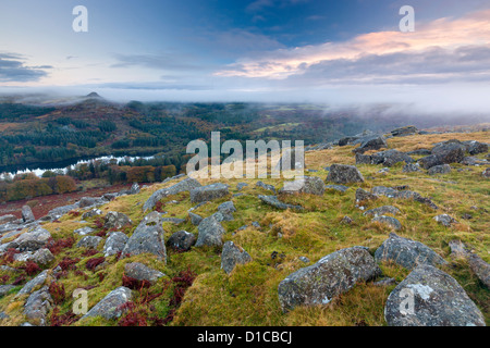 Vista da pecore Tor nel Parco Nazionale di Dartmoor. Foto Stock