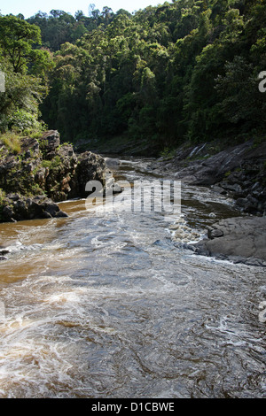 Fiume Namorona, Ranomafana National Park, Madagascar, Africa. Foto Stock