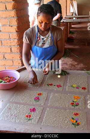 Donna malgascia da Ambalavao, Sud del Madagascar, Africa. Rendendo Antemoro carta pergamena dalla corteccia dell'albero Havoha. Foto Stock