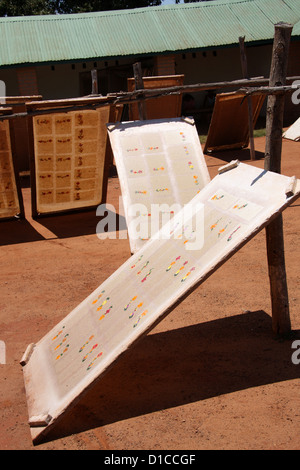 Ambalavao, Sud del Madagascar, Africa. Rendendo Antemoro carta pergamena dalla corteccia fibra del Havoha Tree. Foto Stock