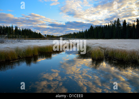 Una mattina il pupazzo di neve sul Lago di Maxwell situato a Hinton Alberta Canada. Foto Stock