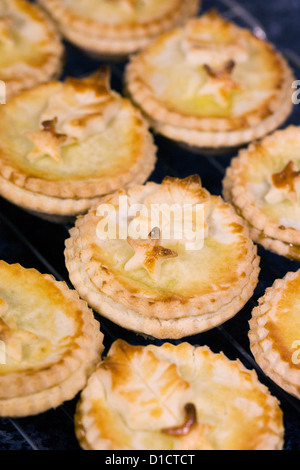 Preparata di fresco tritate la torta su un vassoio di raffreddamento Foto Stock