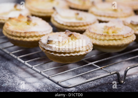 Preparata di fresco tritate la torta su un vassoio di raffreddamento Foto Stock