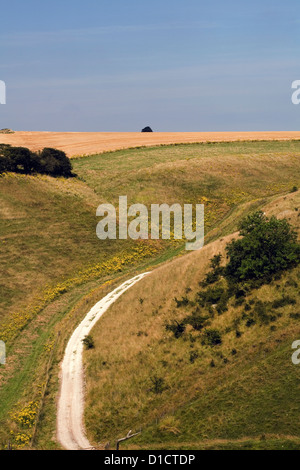 Asciugare gesso Valley vicino a Thixendale Yorkshire Wolds East Yorkshire Inghilterra Foto Stock