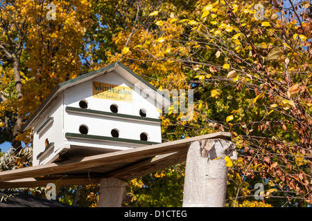 Casetta per uccelli e foglie di autunno, il White House Inn, Cooperstown, NY Foto Stock